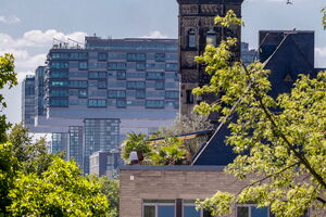 Feuerwerk Kölner Lichter von der Rooftop Bar am Rheinauhafen